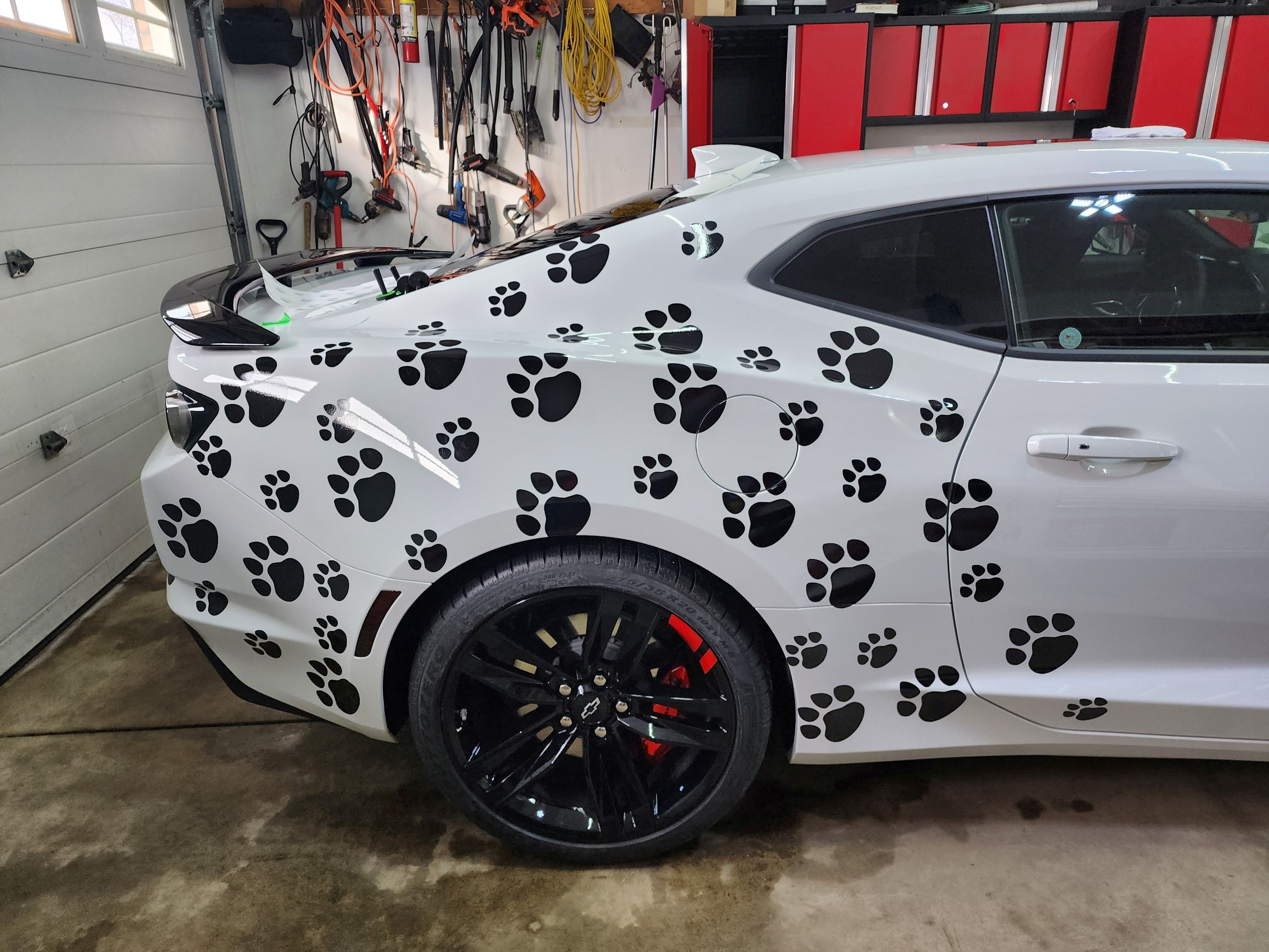 Automotive Custom