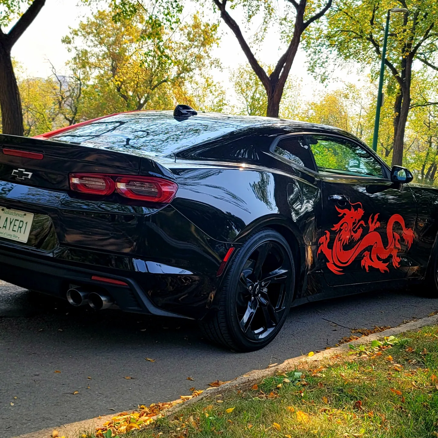 Automotive Custom